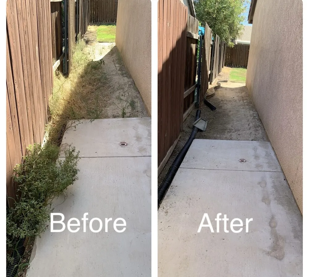 Affordable yard cleanup service in Bakersfield, CA - Padilla Maintains
