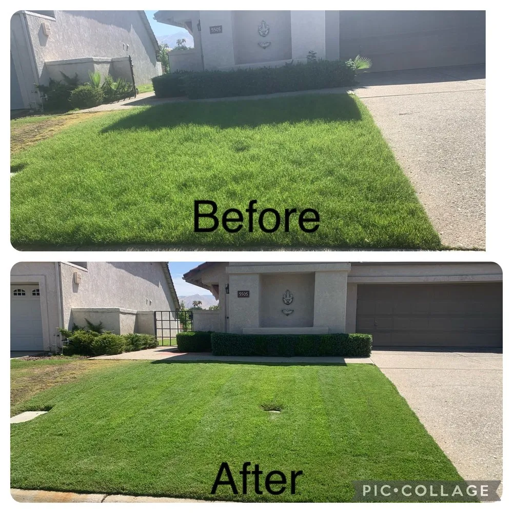 Affordable landscape design with custom design in Bakersfield, CA by Padilla Maintains