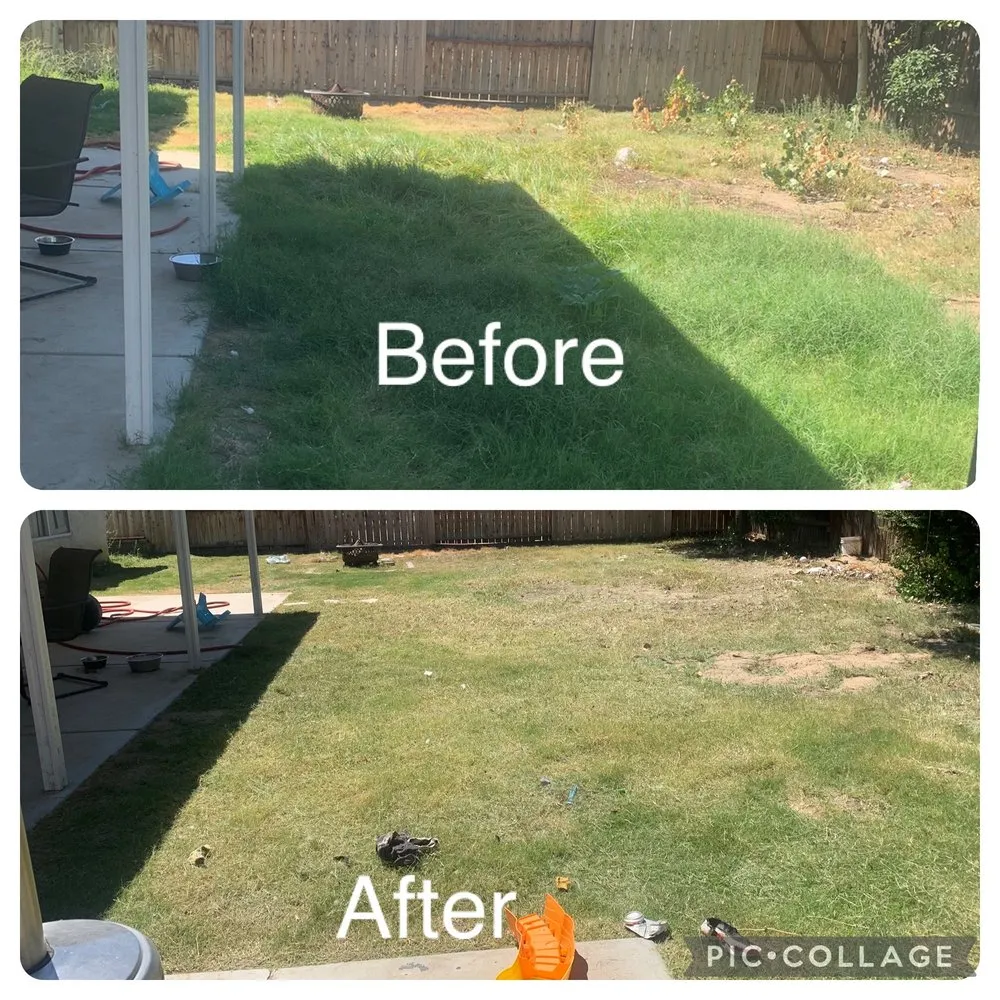 Reliable landscape design for residential properties in Bakersfield, CA by Padilla Maintains