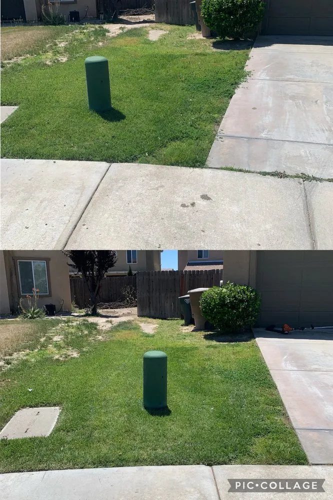 Reliable garden landscaping for homes across Bakersfield, CA - Padilla Maintains