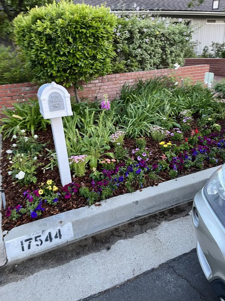 Custom lawn care service in Van Nuys, CA by Padillas Landscape Services