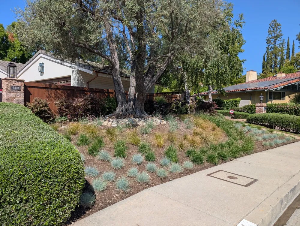 Local garden landscaping for beautiful yards across Van Nuys, CA - Padillas Landscape Services