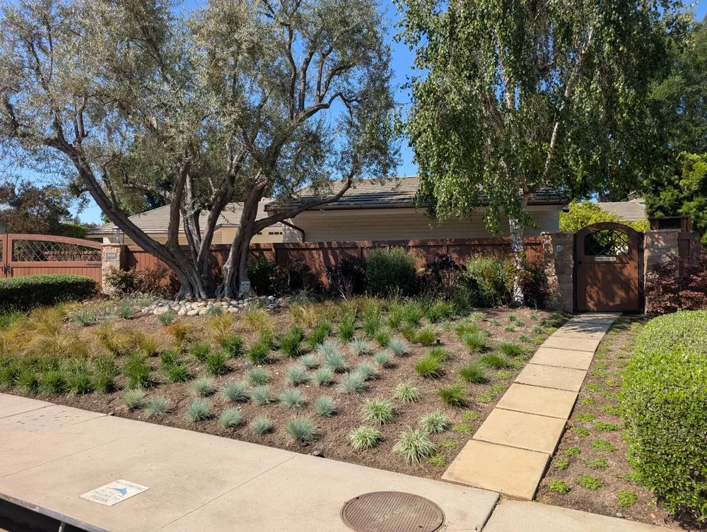 Expert lawn care service near you across Van Nuys, CA - Padillas Landscape Services