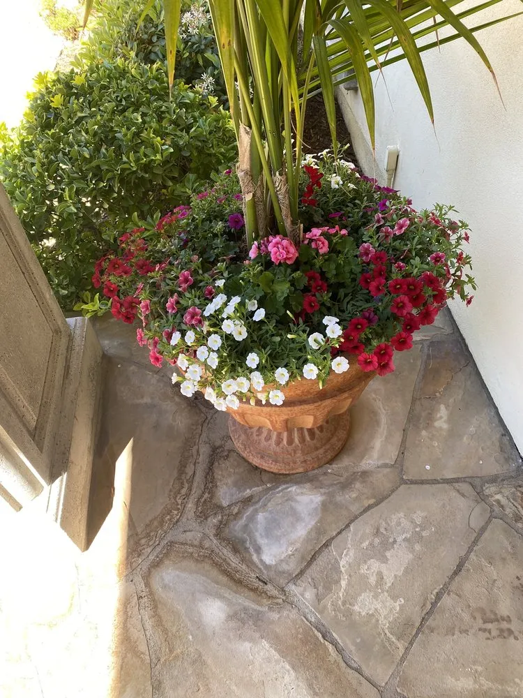 Trusted outdoor landscaping in Van Nuys, CA - Padillas Landscape Services