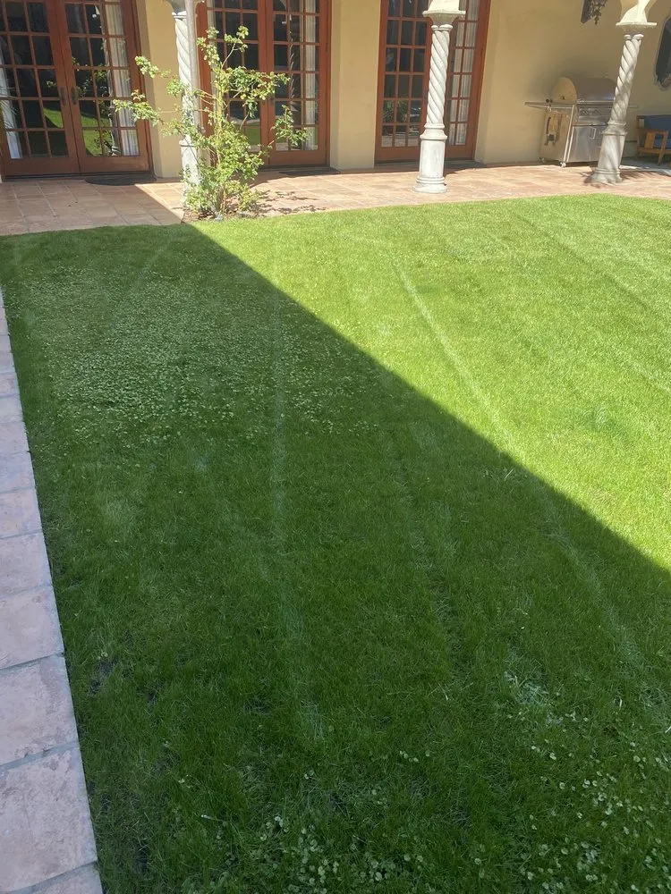 Affordable yard maintenance in Van Nuys, CA - Padillas Landscape Services
