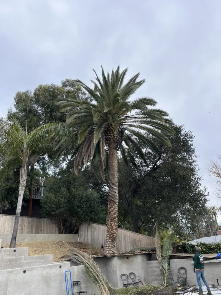 Trusted landscape installation experts serving Van Nuys, CA - Padillas Landscape Services