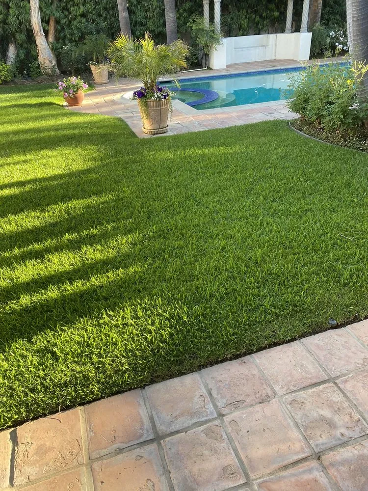 Affordable landscaping services experts serving Van Nuys, CA - Padillas Landscape Services