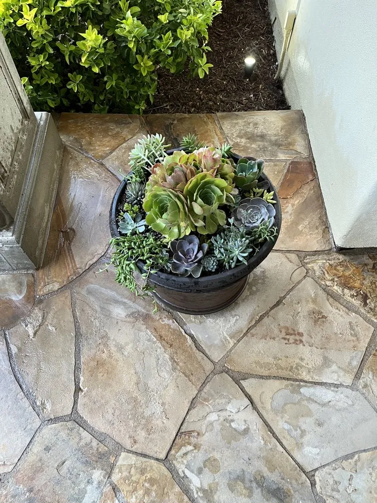 Trusted landscape design experts serving Van Nuys, CA - Padillas Landscape Services