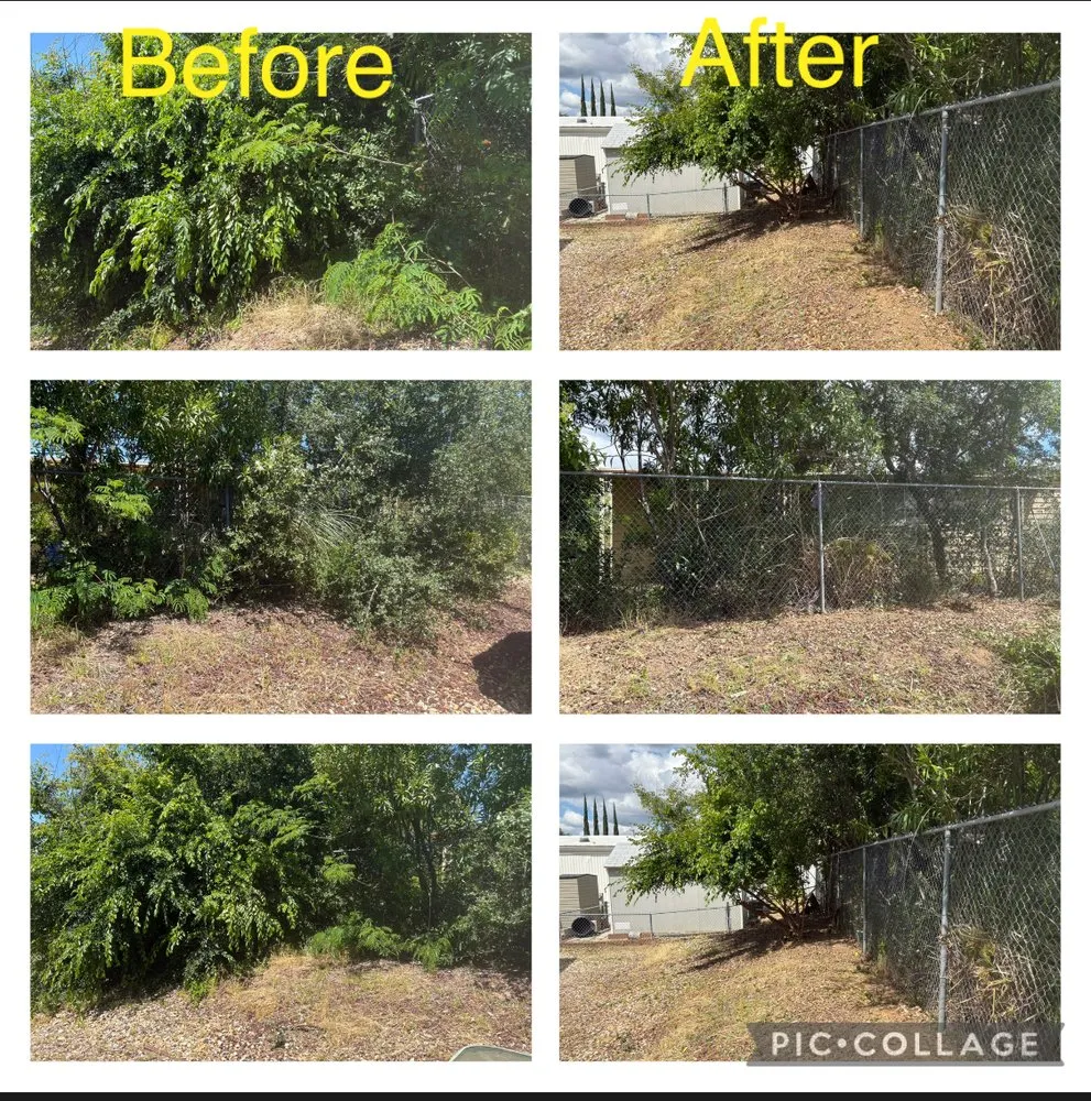 Affordable lawn mowing service experts serving Sheridan, CA - Padillas Landscaping