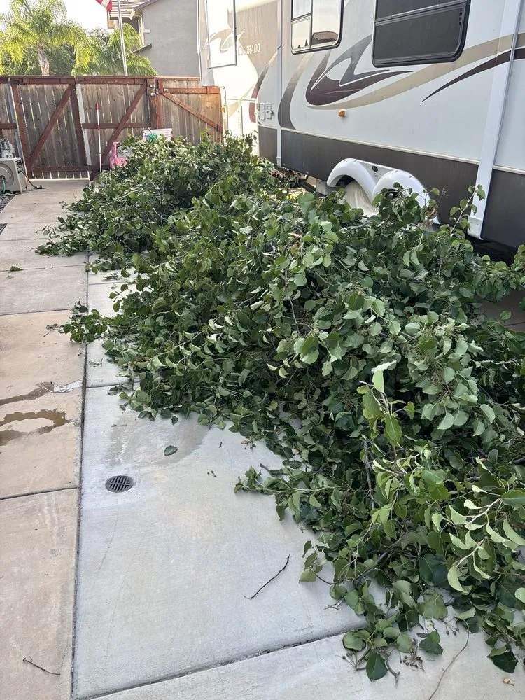 Reliable lawn care service experts serving Sheridan, CA - Padillas Landscaping