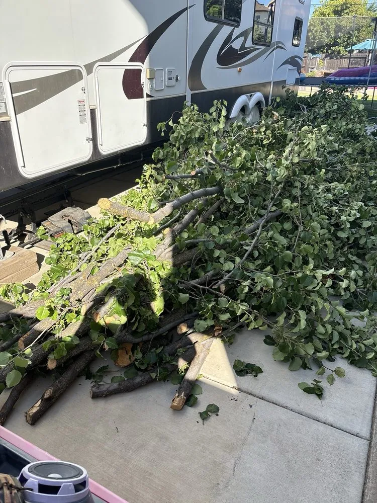 Expert landscaping services experts serving Sheridan, CA - Padillas Landscaping