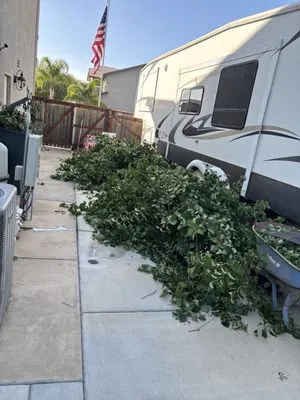 Padillas Landscaping