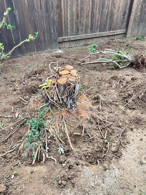 Reliable outdoor landscaping with custom design in Fairfield, CA by Padilla's Premier Lawn Care