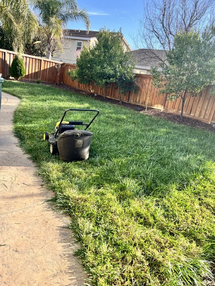 Expert outdoor landscaping for beautiful yards across Fairfield, CA - Padilla's Premier Lawn Care