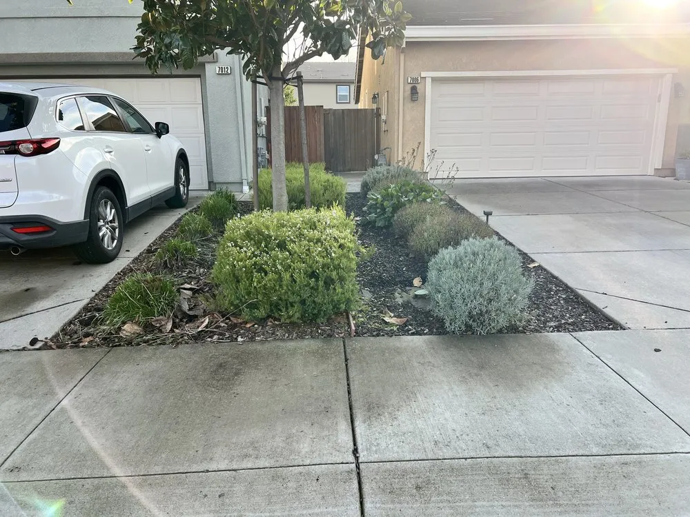 Top-rated outdoor landscaping with custom design in Fairfield, CA by Padilla's Premier Lawn Care