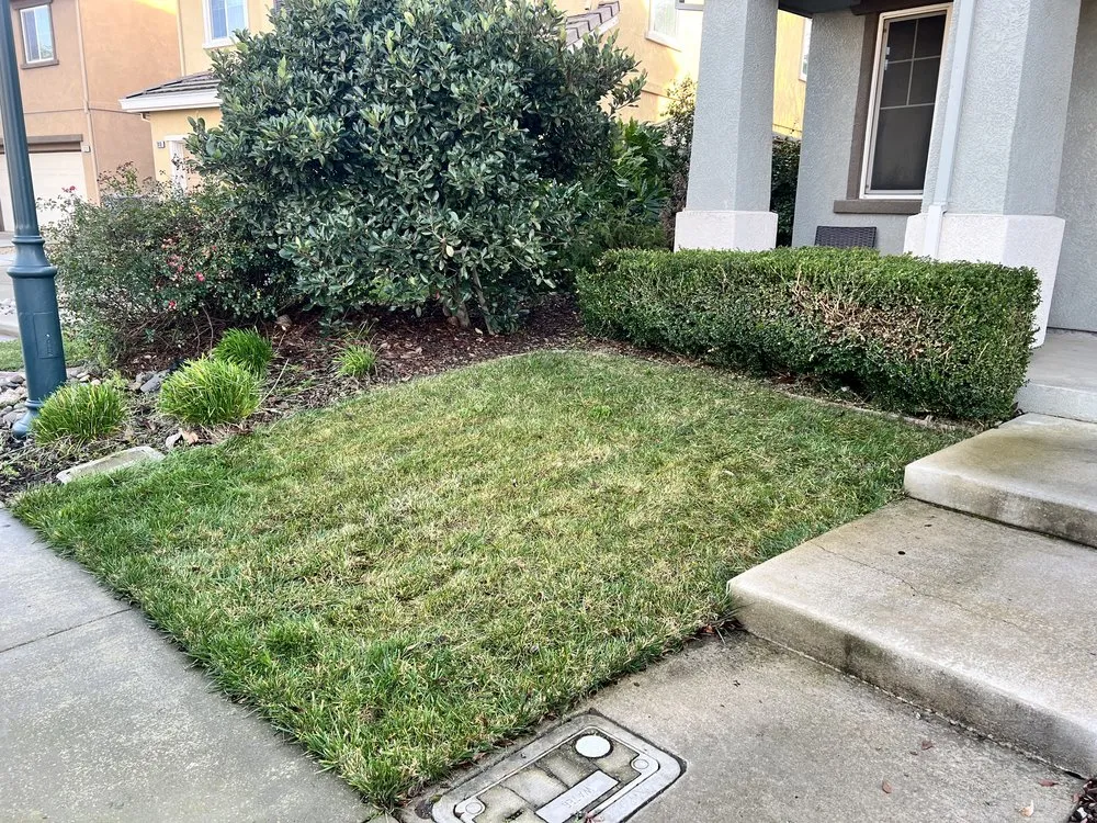 Affordable garden landscaping near you in Fairfield, CA by Padilla's Premier Lawn Care