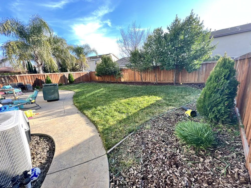 Trusted yard cleanup service with custom design in Fairfield, CA by Padilla's Premier Lawn Care