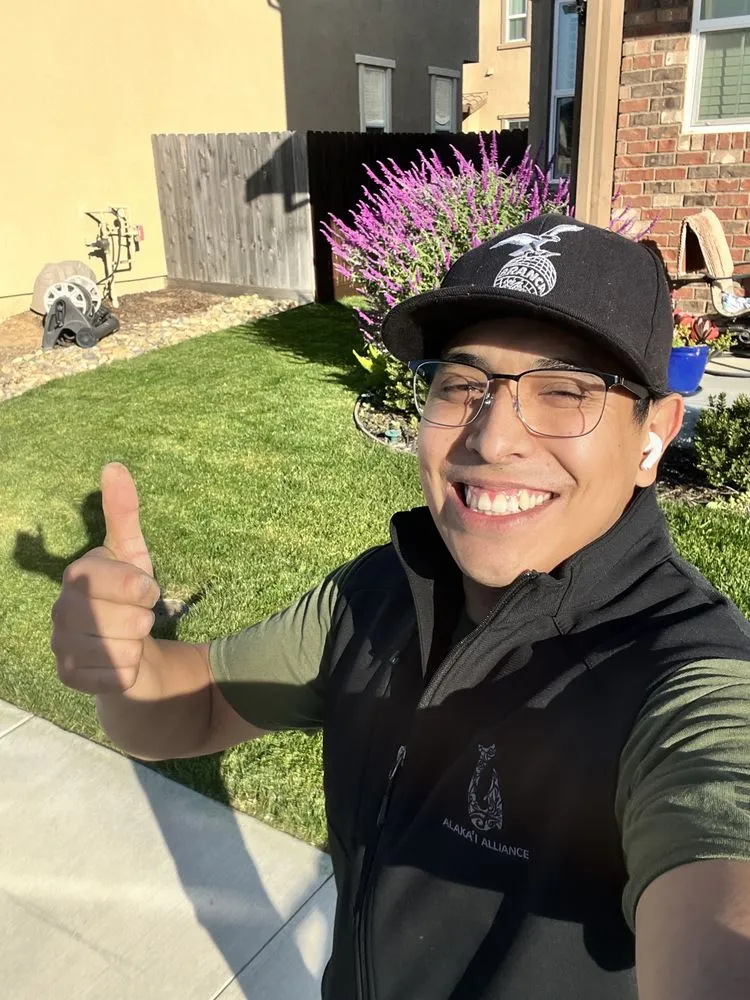 Custom yard cleanup service in Fairfield, CA by Padilla's Premier Lawn Care