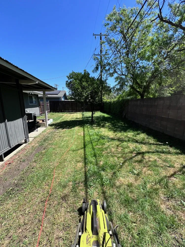 Reliable residential landscaping for outdoor upgrades in Fairfield, CA by Padilla's Premier Lawn Care