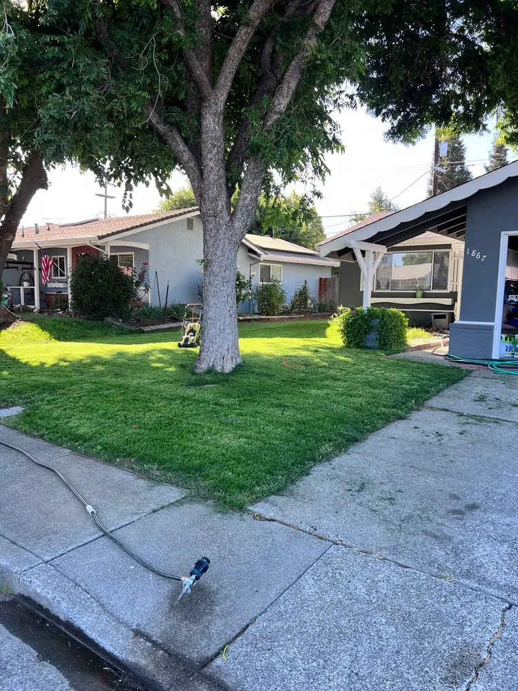 Custom landscape design for beautiful yards across Fairfield, CA - Padilla's Premier Lawn Care