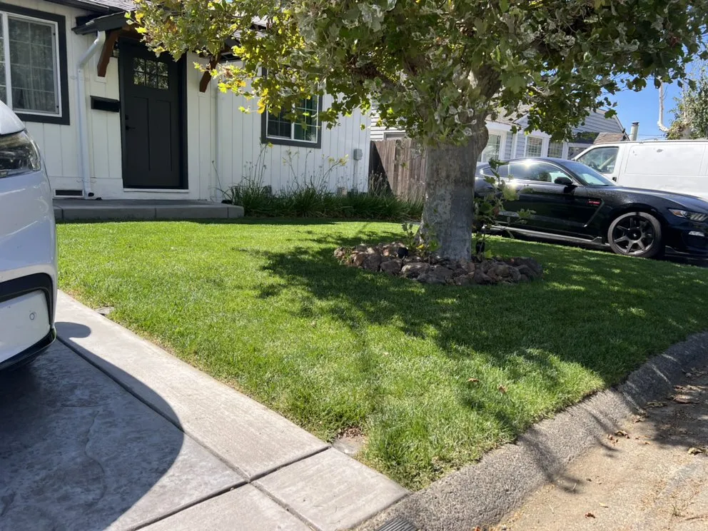 Top-rated outdoor landscaping in Fairfield, CA by Padilla's Premier Lawn Care
