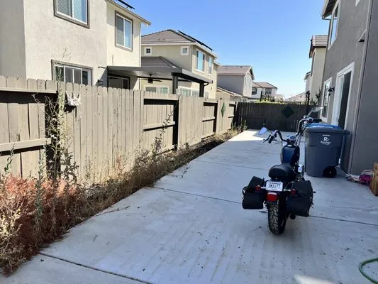 Padilla's Premier Lawn Care Logo