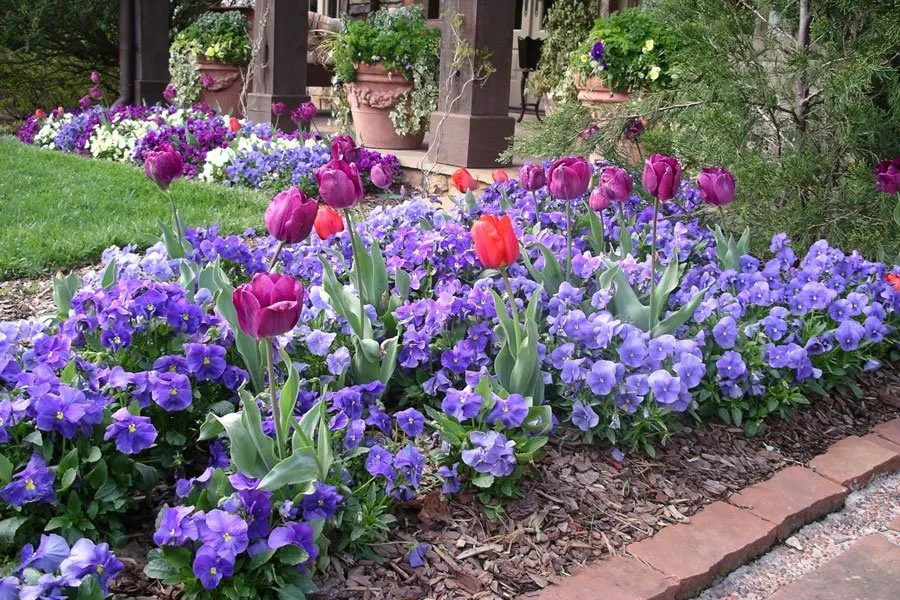 Trusted landscape installation in Marietta, GA - Padron Landscape Group