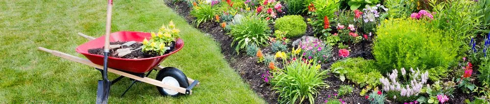 Custom lawn care service in Paducah, KY by Paducah Lawn Care