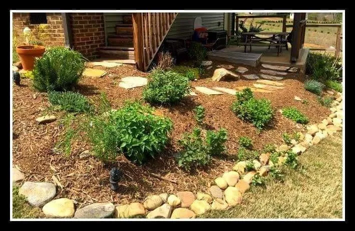 Affordable landscape design for year-round maintenance across Greer, SC - Padula's Plants & Gardens