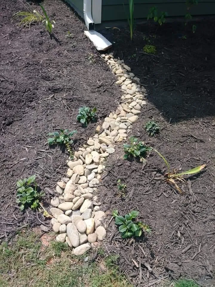 Local yard maintenance in Greer, SC - Padula's Plants & Gardens