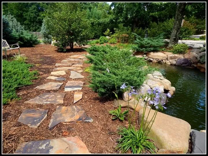 Local yard cleanup service in Greer, SC by Padula's Plants & Gardens
