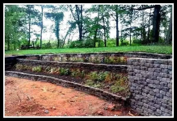 Top-rated lawn care service for residential properties across Greer, SC - Padula's Plants & Gardens