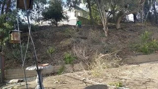 Trusted outdoor landscaping in Orange, CA - Paez Landscaping and Tree Care