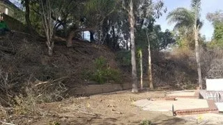 Reliable landscaping services for residential properties across Orange, CA - Paez Landscaping and Tree Care