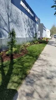 Custom landscape installation experts serving Orange, CA - Paez Landscaping and Tree Care