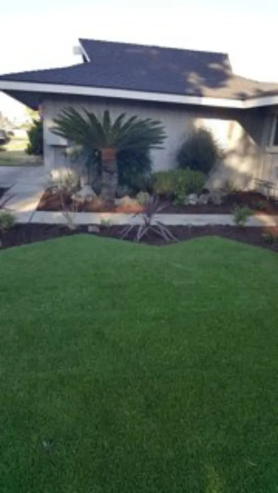 Expert lawn mowing service in Orange, CA by Paez Landscaping and Tree Care