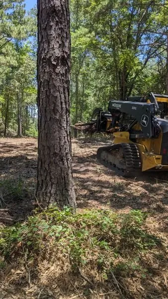 Local residential landscaping experts serving Gilmer, TX - Pafford Land & Home