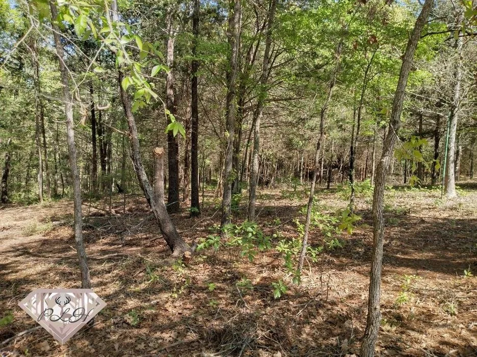 Local yard maintenance in Gilmer, TX by Pafford Land & Home