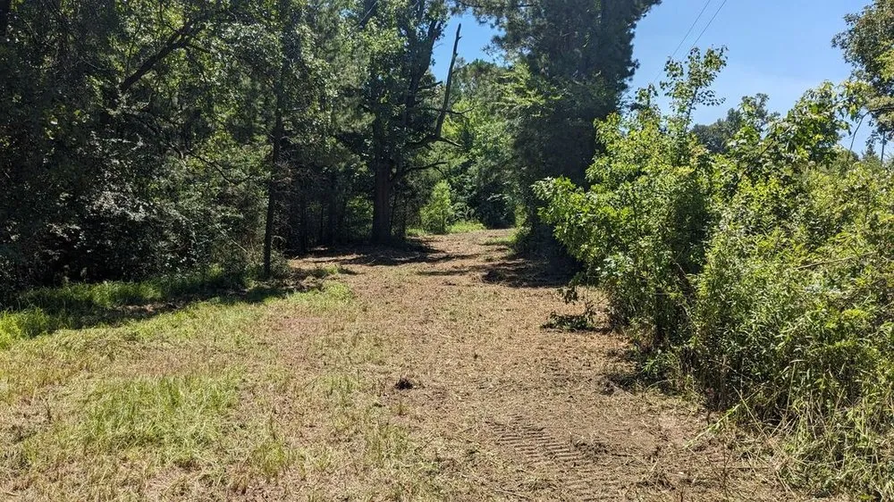 Affordable landscape design in Gilmer, TX by Pafford Land & Home