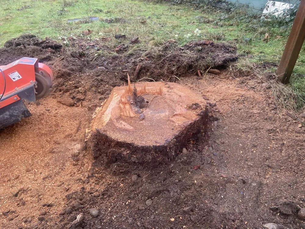 Affordable landscape installation for homes in Renton, WA by PAG Stump Grinding