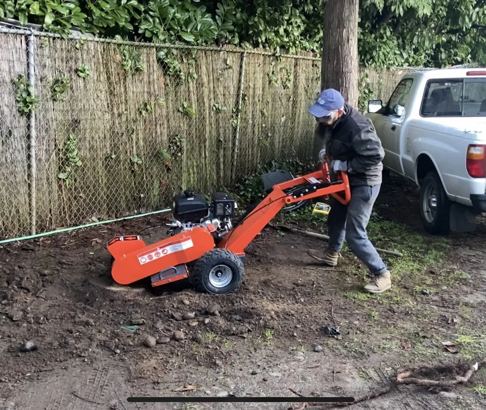 Expert yard maintenance for beautiful yards in Renton, WA by PAG Stump Grinding