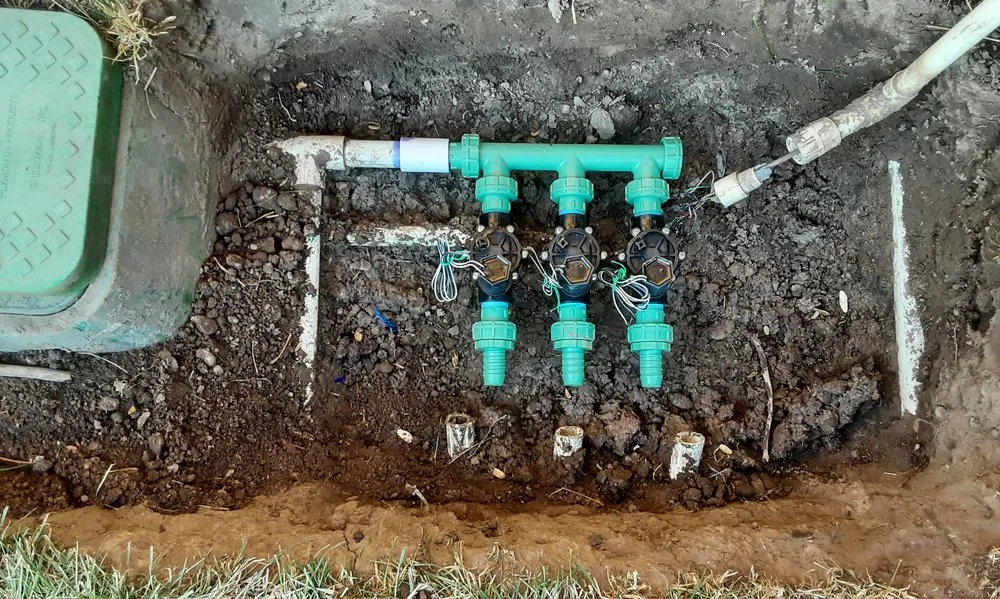 Local outdoor landscaping in Phoenix, AZ by Page Designs