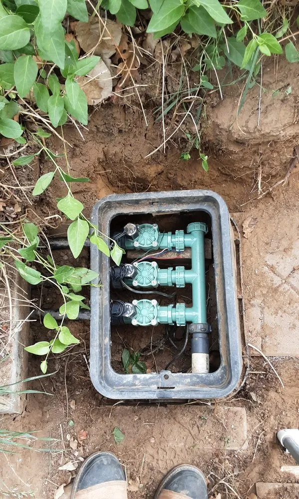 Expert yard cleanup service for beautiful yards across Phoenix, AZ - Page Designs