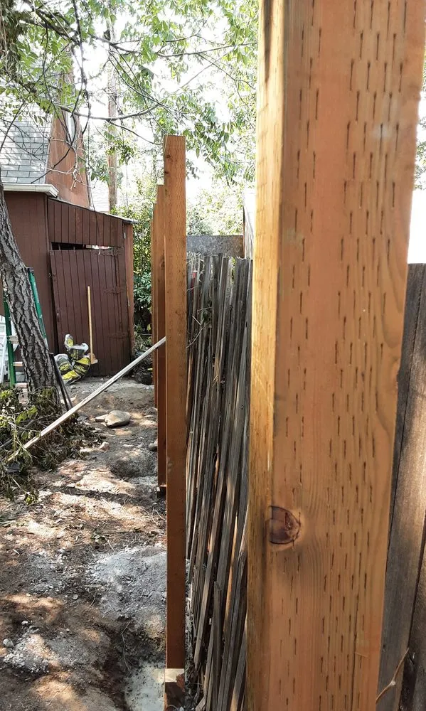 Affordable yard cleanup service with custom design across Phoenix, AZ - Page Designs