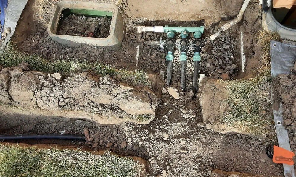 Expert landscape installation for beautiful yards in Phoenix, AZ by Page Designs