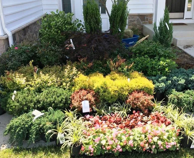 Trusted lawn care service for beautiful yards in Middletown, DE by Page Precision Cuts