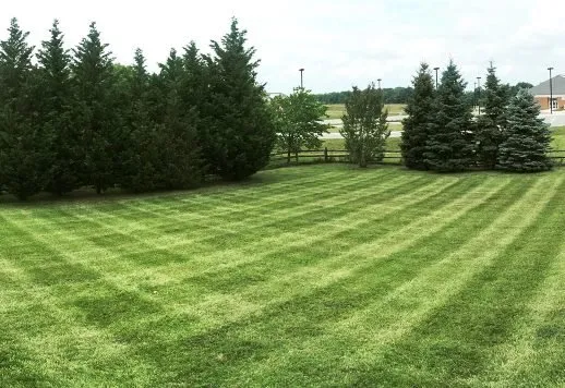 Custom garden landscaping in Middletown, DE by Page Precision Cuts