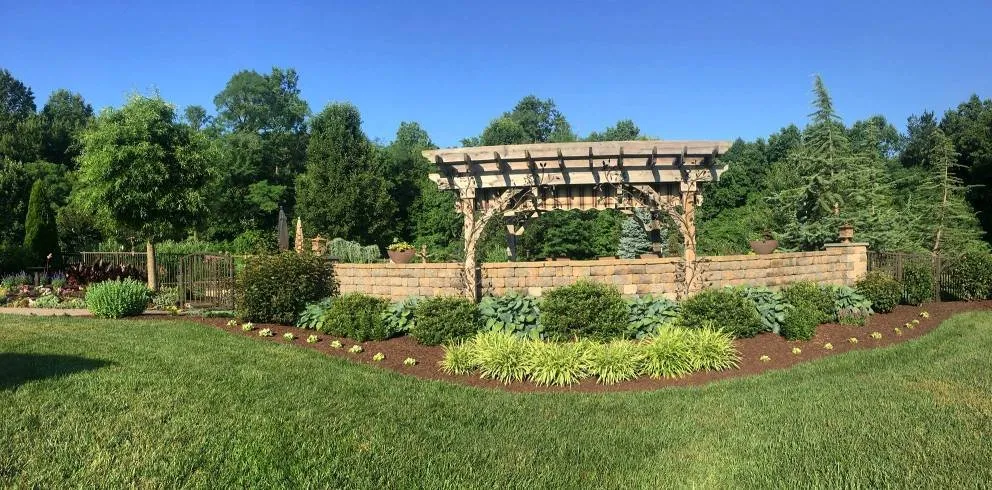 Affordable yard cleanup service for residential properties across Middletown, DE - Page Precision Cuts