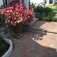 Affordable yard maintenance in Middletown, DE by Page Precision Cuts