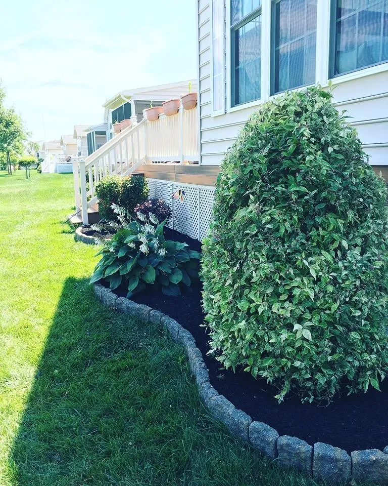Top-rated yard cleanup service for year-round maintenance in Middletown, DE by Page Precision Cuts